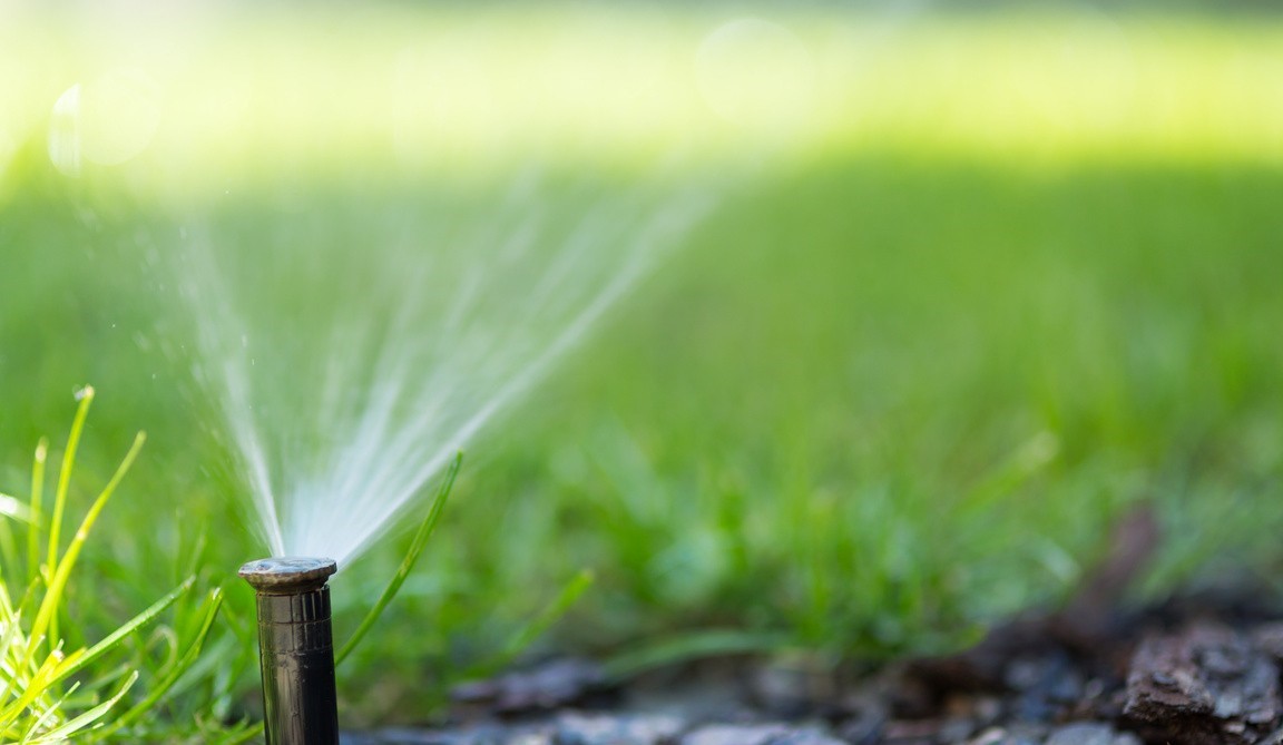 wattering-you-new-sod-in-pensacola