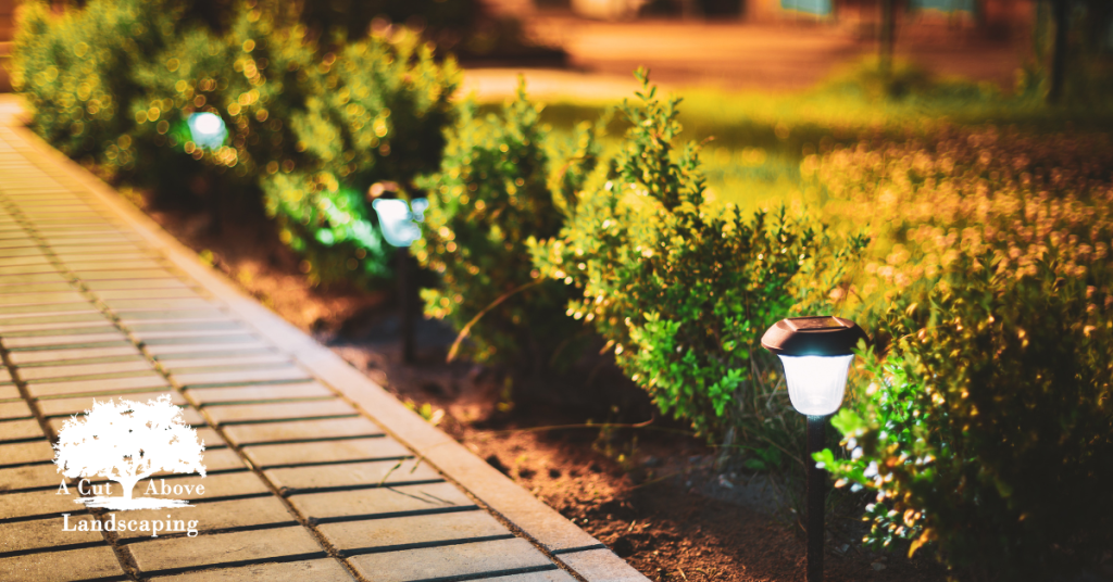 Maximizing Curb Appeal: Top Landscaping Enhancements