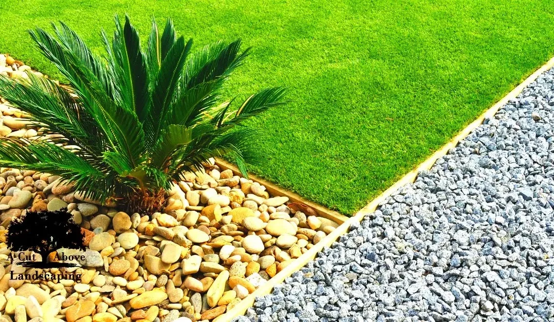 Designing a Tropical Oasis in Your Backyard