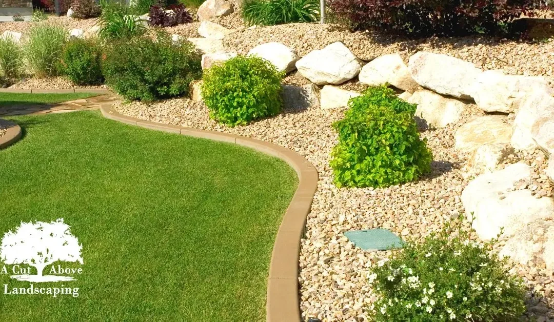 The Benefits of Using Native Grasses in Your Florida Lawn