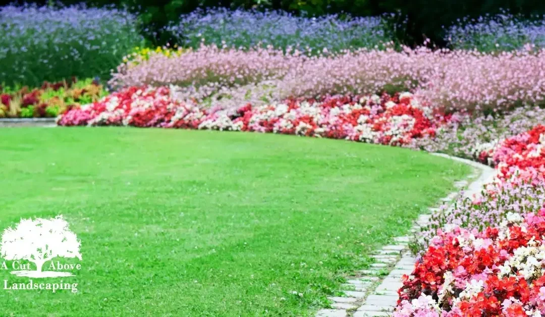 Summer Lawn and Garden Prep: Getting Ready for Florida’s Heat