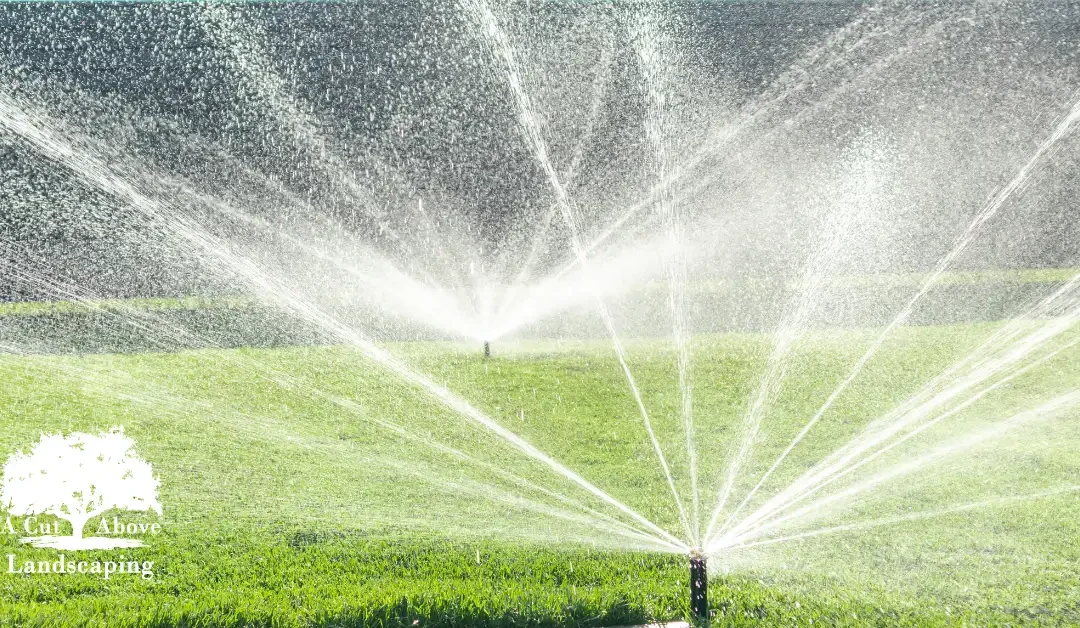 Innovative Irrigation Solutions for Pensacola