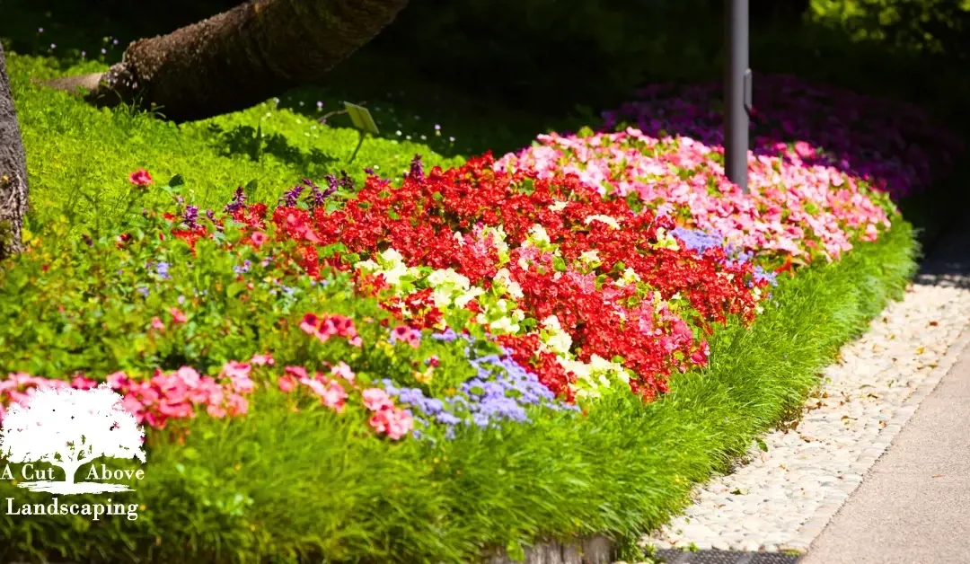 Summer Shine: Maintaining Lush Green Spaces for Pensacola’s Businesses