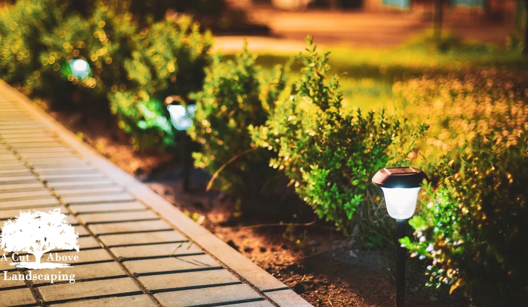 Maximizing Curb Appeal: Top Landscaping Enhancements