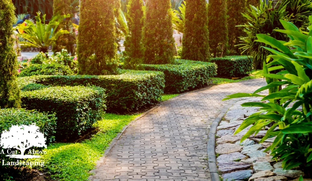 Creating First Impressions: How Commercial Landscaping Creates Business