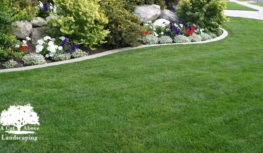 Enhancing Home Value with Landscaping Investments in Pensacola
