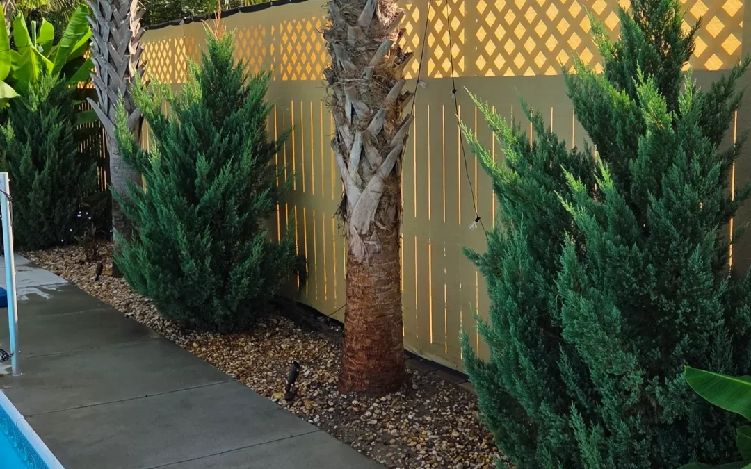 Innovative Commercial Landscaping Ideas for March in Pensacola