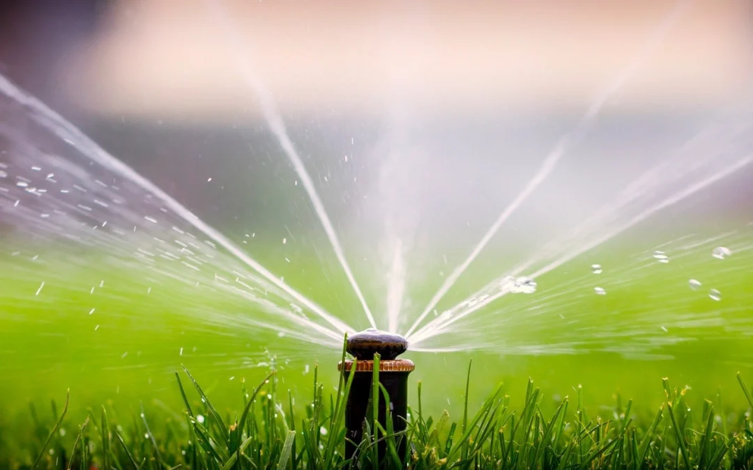 Water Conservation Tips for Florida Landscapes